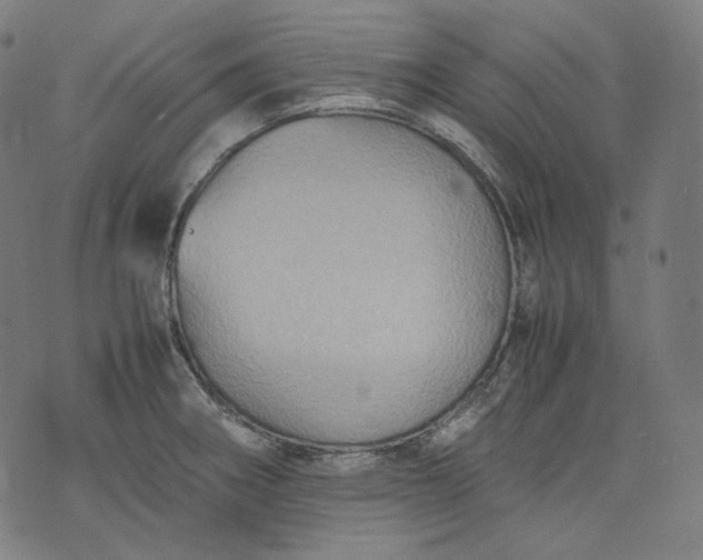 X0000074211282200609081522