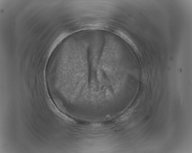 X0000074211283200609081522