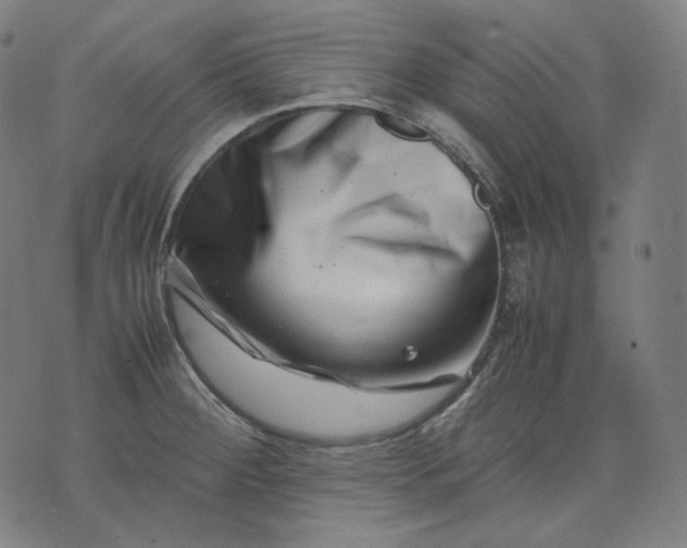 X0000074211284200609081522