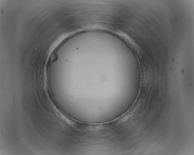 X0000074211286200609081522