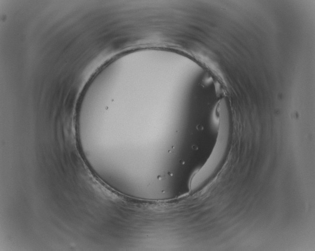 X0000074211288200609081522