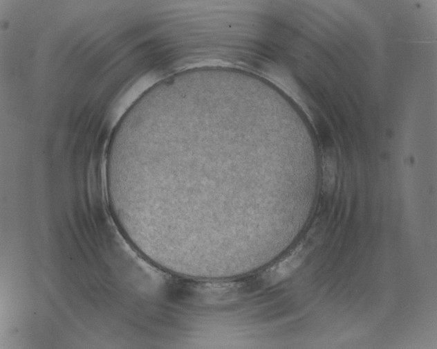 X0000074211290200609081522