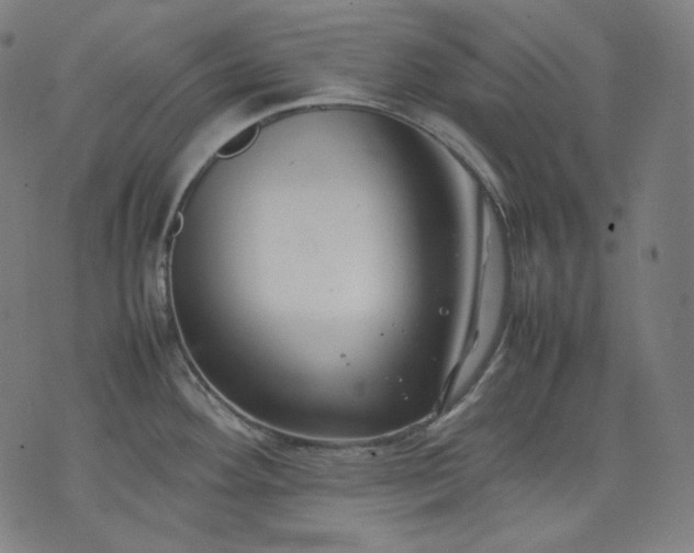 X0000074211292200609081522