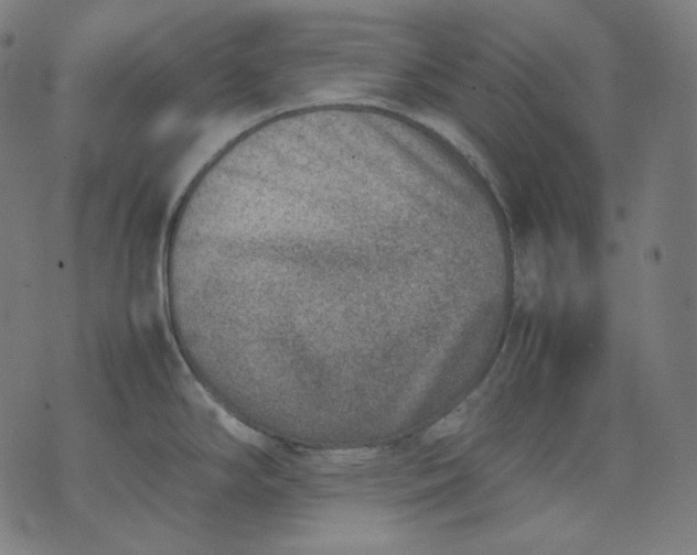 X0000074211294200609081521