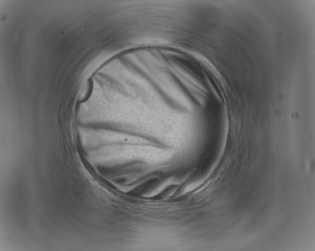 X0000074211295200609081521