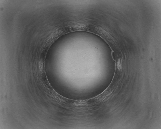 X0000074211299200609081521