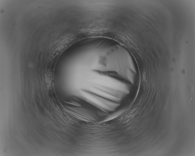 X0000074211300200609081521