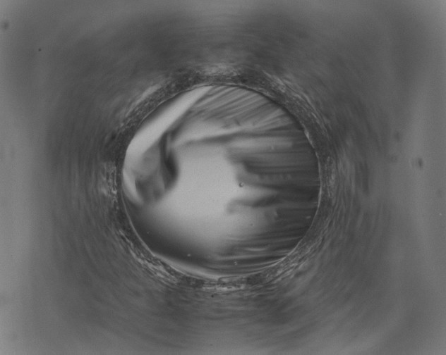 X0000074211301200609081521