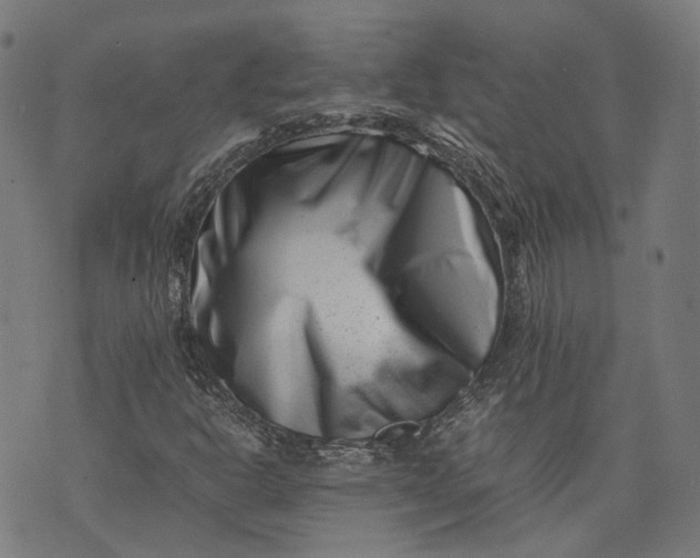 X0000074211302200609081521