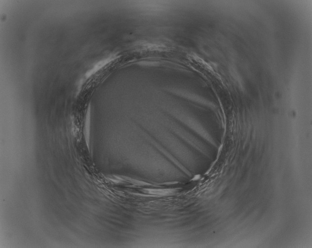 X0000074211303200609081521