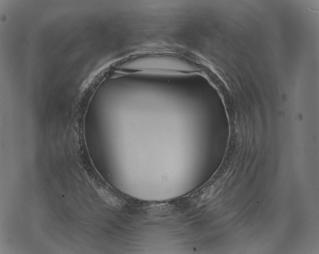 X0000074211304200609081521