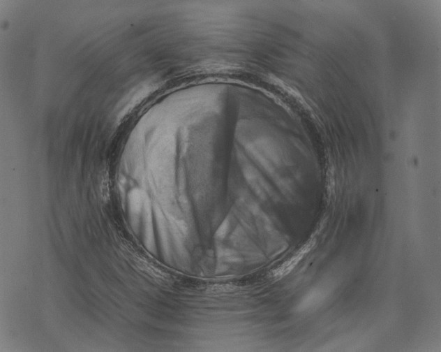 X0000074211306200609081521