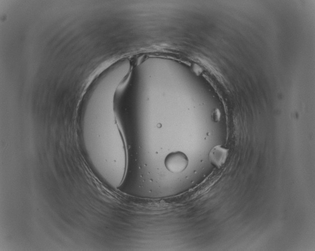 X0000074211308200609081521