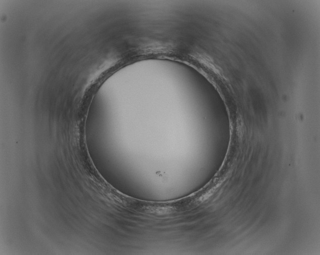 X0000074211309200609081521