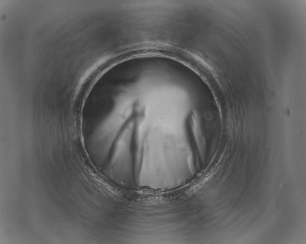 X0000074211310200609081521