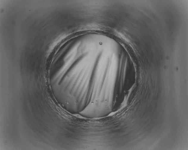 X0000074211312200609081521