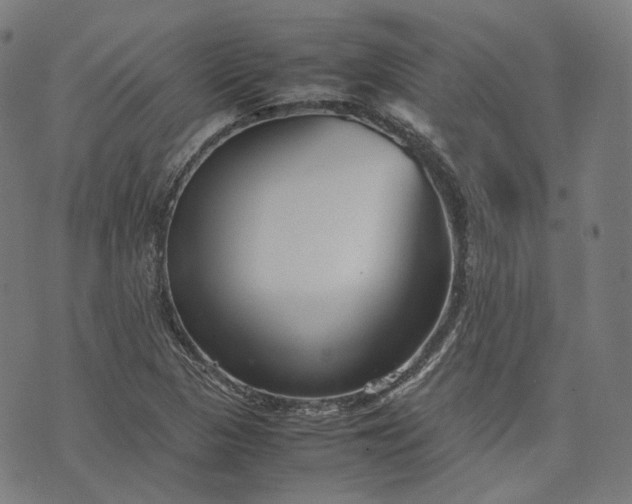 X0000074211313200609081521