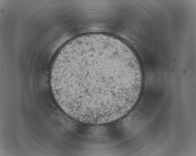 X0000074211314200609081521