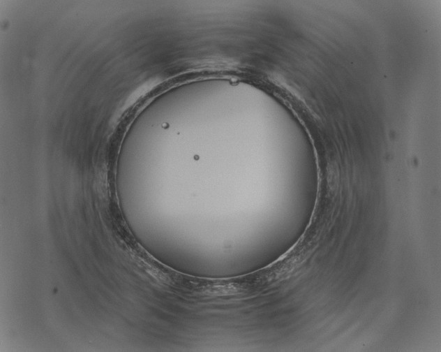 X0000074211315200609081521