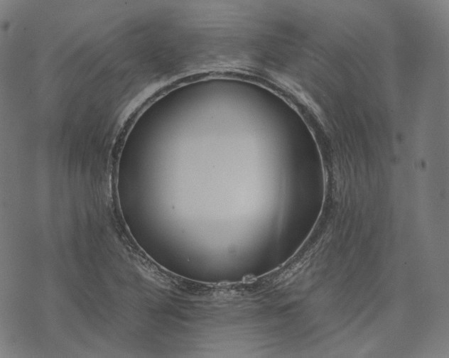 X0000074211316200609081521