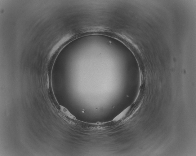 X0000074211317200609081521