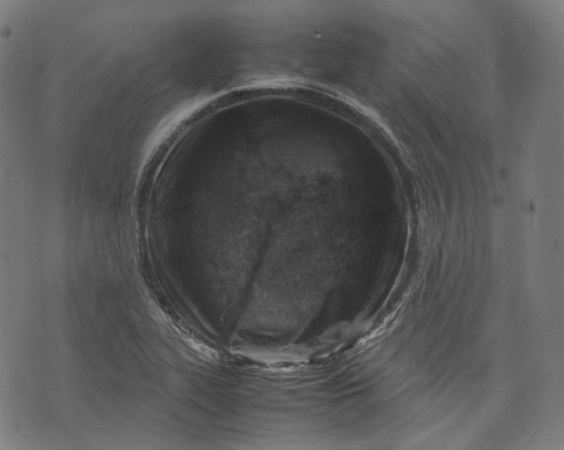 X0000074211319200609081521