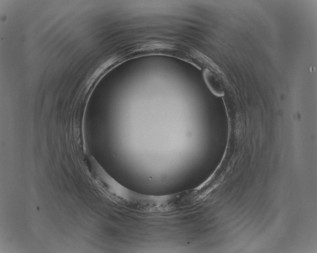 X0000074211321200609081521