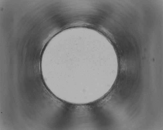 X0000074211322200609081521