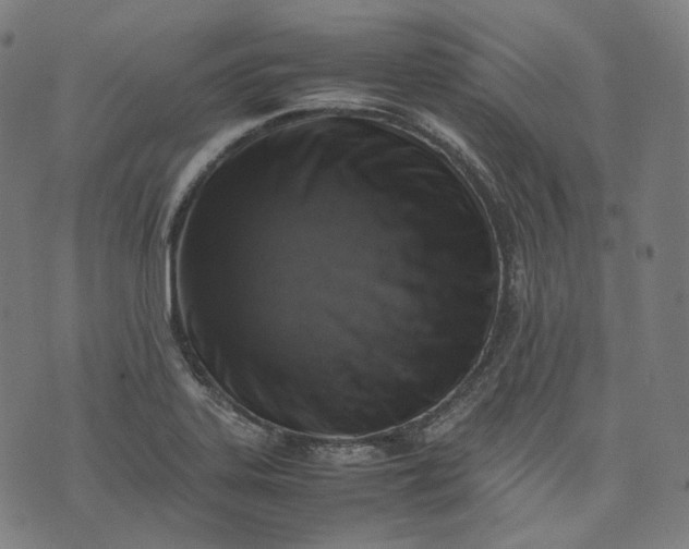 X0000074211323200609081521