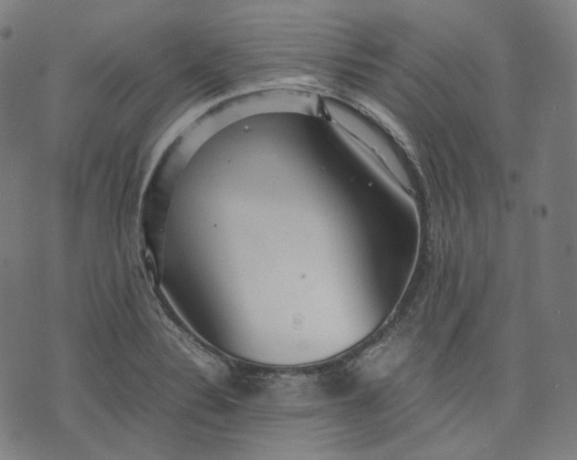 X0000074211324200609081521