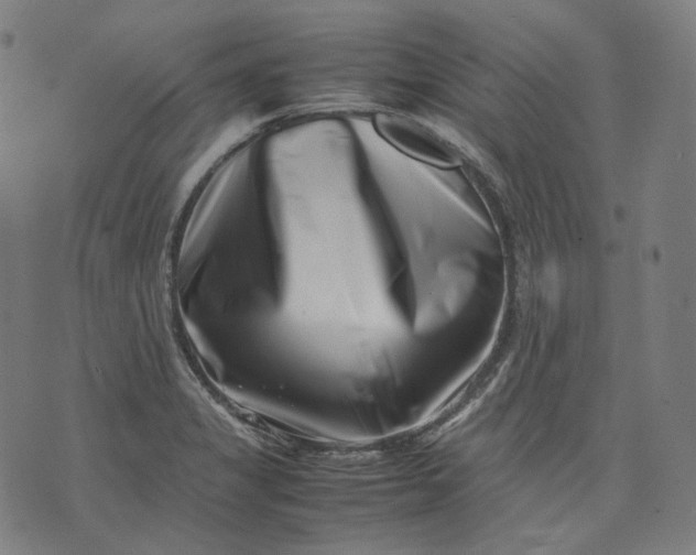 X0000074211325200609081521