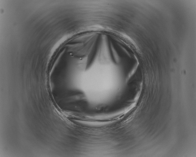 X0000074211326200609081521