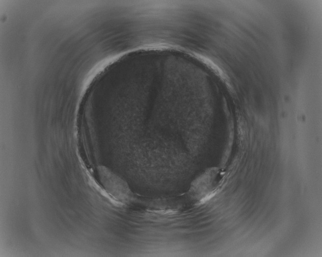 X0000074211327200609081521