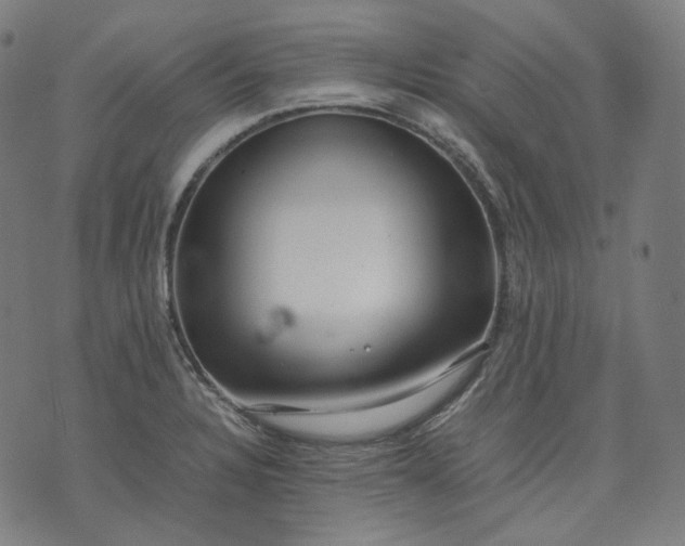 X0000074211328200609081521