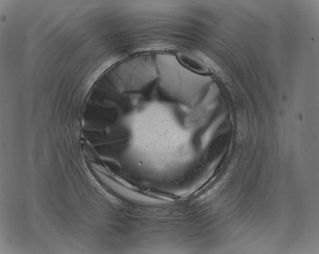 X0000074211329200609081521