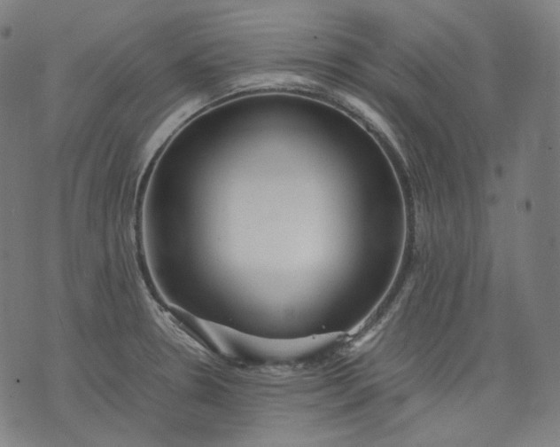 X0000074211330200609081521