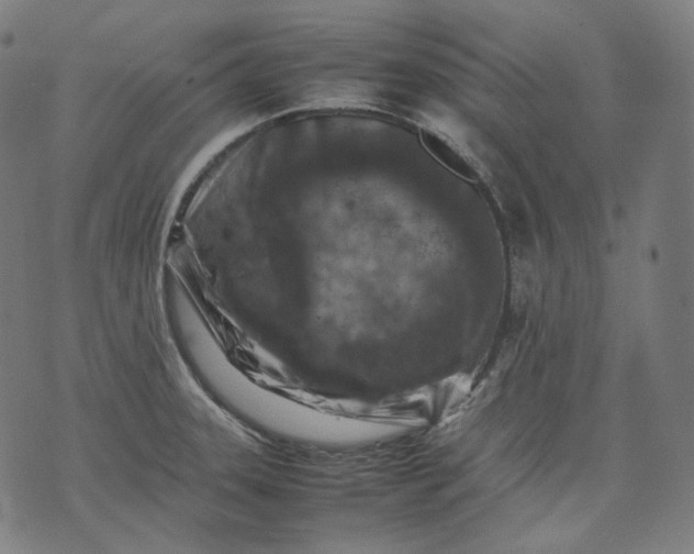 X0000074211331200609081521