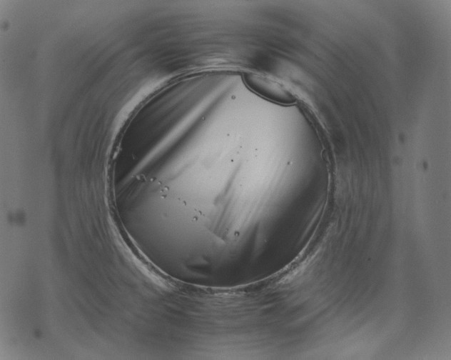 X0000074211333200609081521