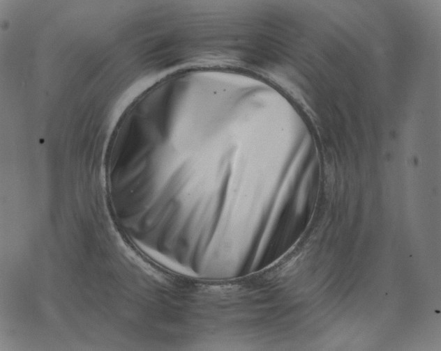 X0000074211335200609081521