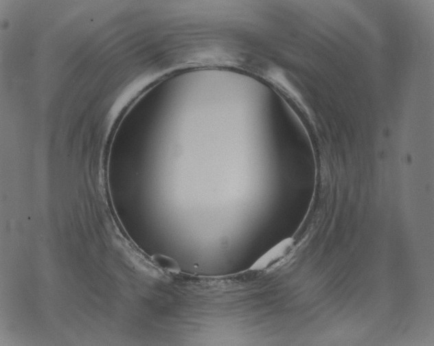 X0000074211336200609081521