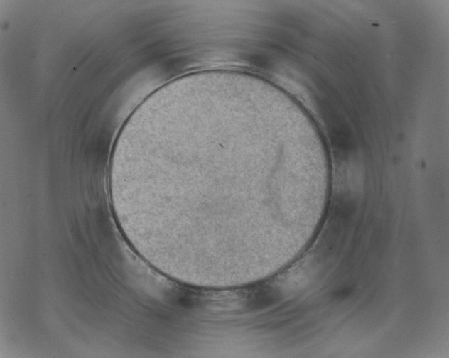 X0000074211338200609081521