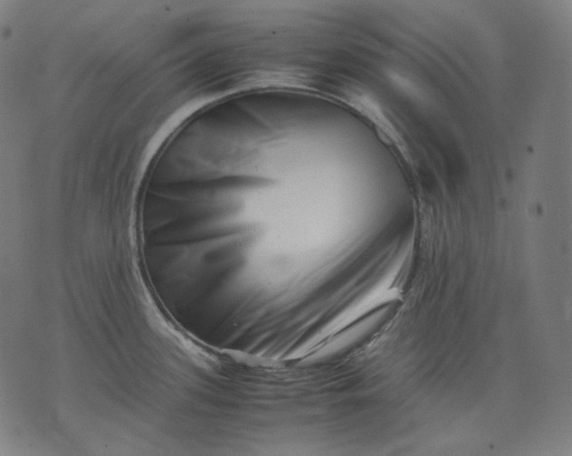 X0000074211339200609081521