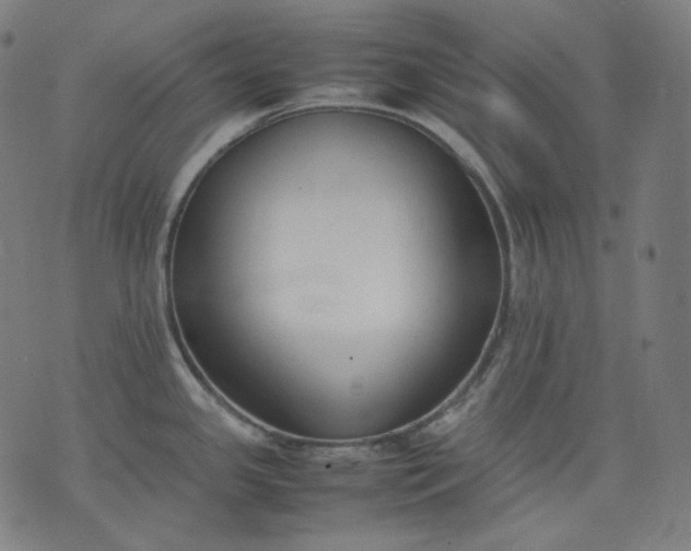 X0000074211341200609081521