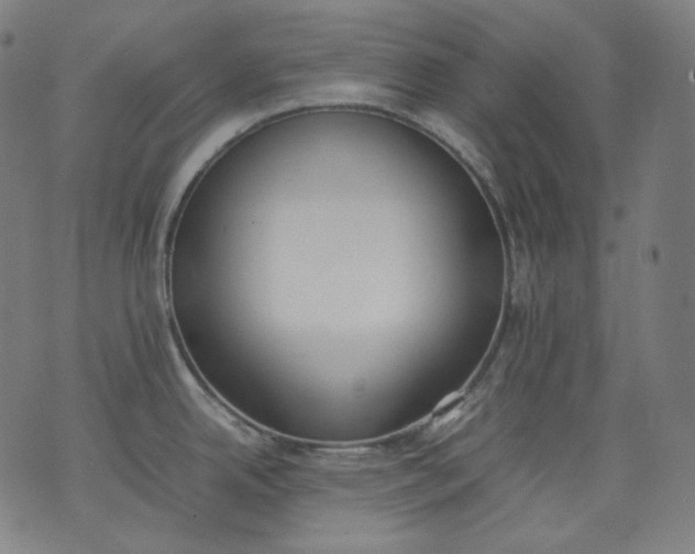 X0000074211342200609081521