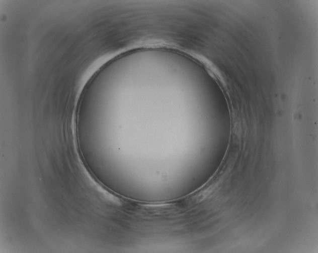 X0000074211343200609081521