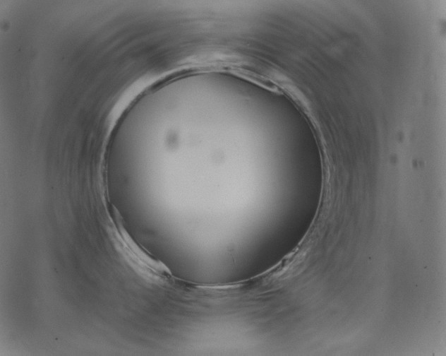 X0000074211344200609081521