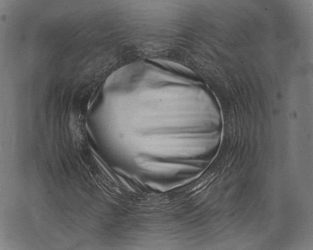 X0000074211346200609081521