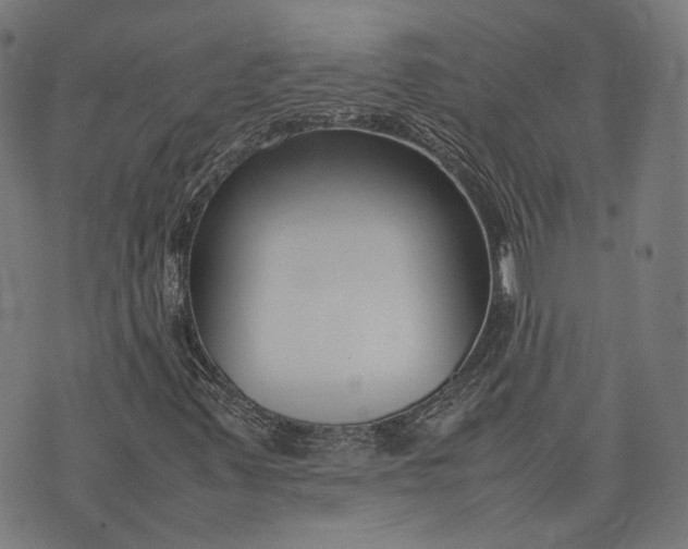 X0000074211347200609081521