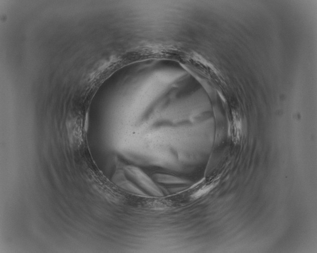 X0000074211348200609081521