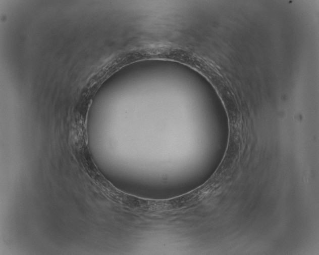 X0000074211349200609081521